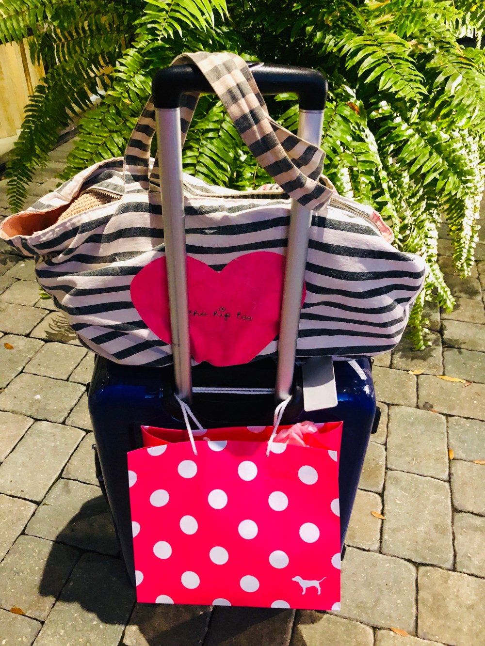 C176DCE5-298F-40E3-82D2-BC5BF5060C71